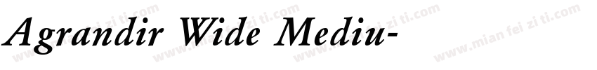 Agrandir Wide Mediu字体转换